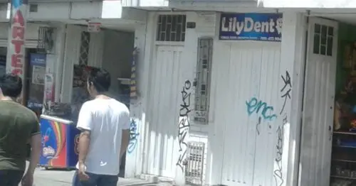 LILY DENT LILY DENT